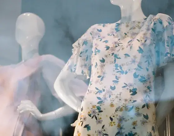 mannequins in a window